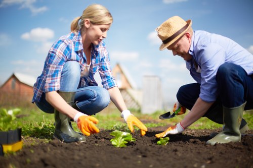 Insurance documents and policy certificates for a gardening company