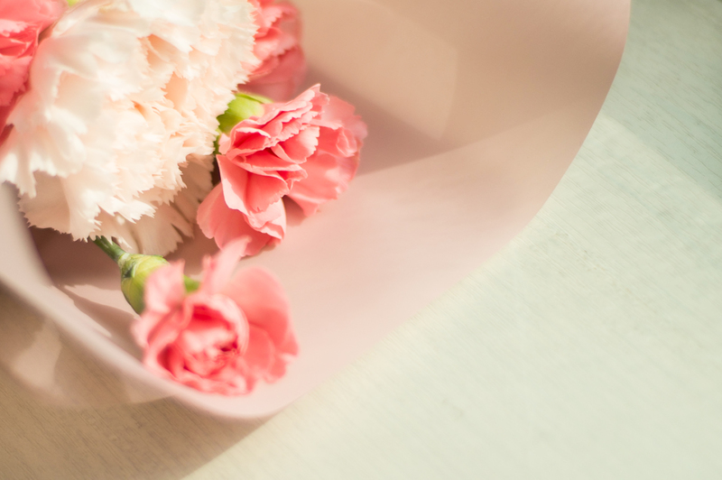 lawn care landscape design