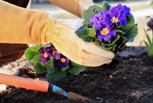 Gardener Pinner harvesting vegetables in a well-maintained garden